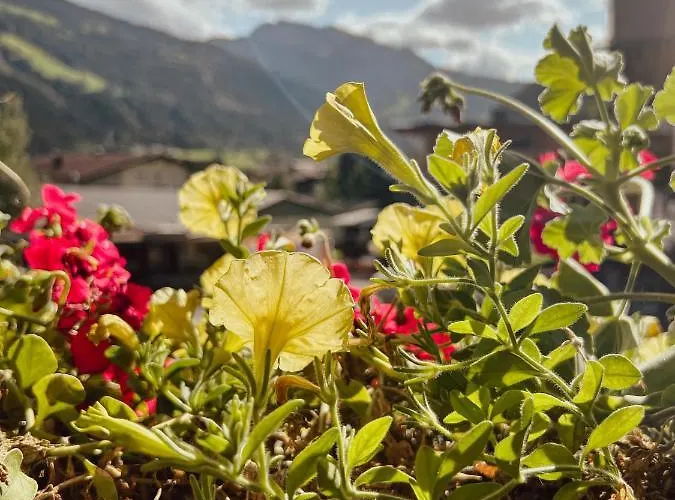 Apartman Goldene Mitte *