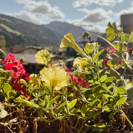 아파트 Goldene Mitte *